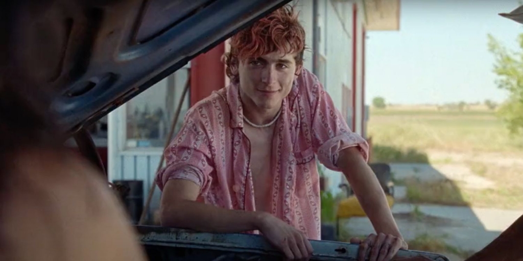 Timothée Chalamet hoá kẻ ăn thịt người điển trai trong phim mới 'Bones & All '